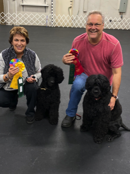  Ace & Scout Earning Rally Titles 12/15/19 